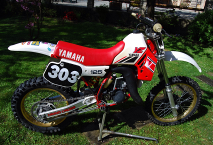 1984 Yamaha TT 600 proto
